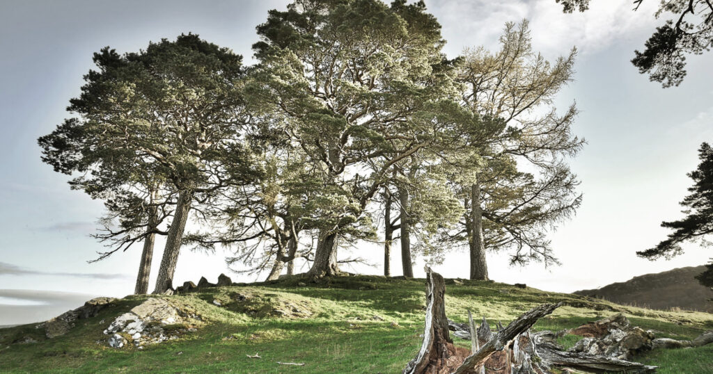 The 4-Day Outlander Experience